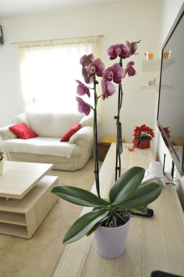 Vlatka Apartman Split Exteriör bild